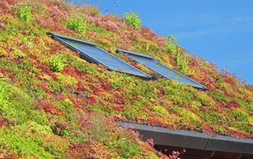 Normanton On Soar living roof systems